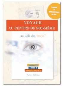 BD - Voyage au centre de soi-même par N. Céliolisa