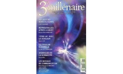 Numéro 31 - Printemps 1994